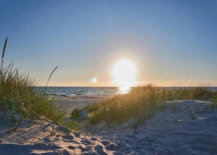 Ingrid * הרינגסדורף